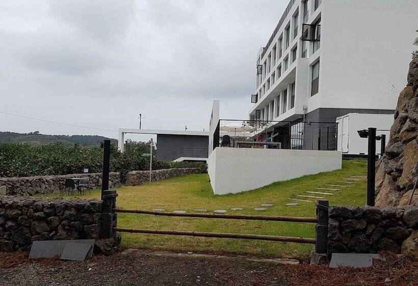 ホテル Stay Interview Jeju