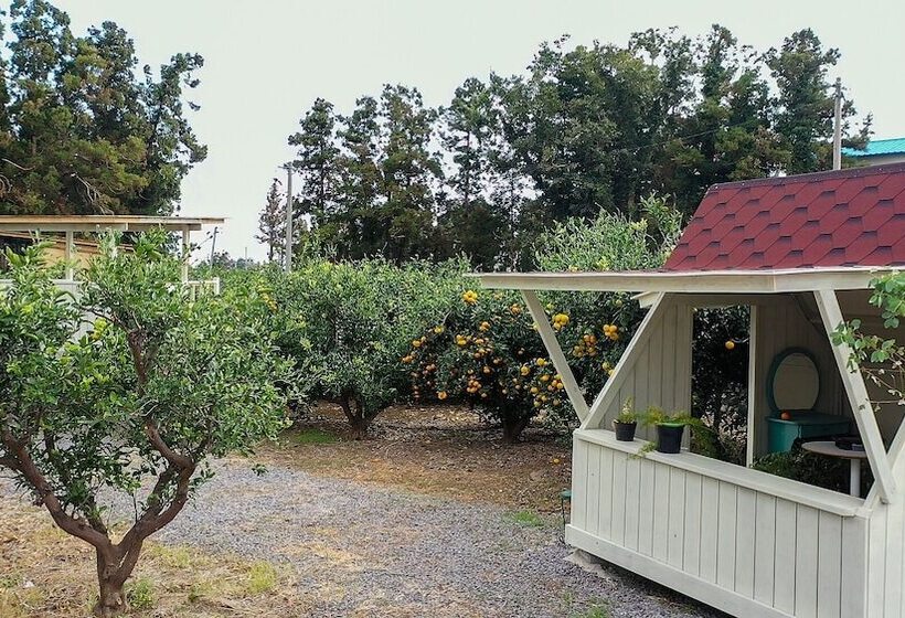 ホテル Stay Interview Jeju