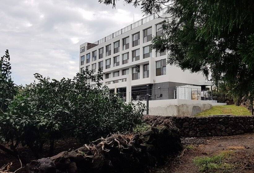 ホテル Stay Interview Jeju