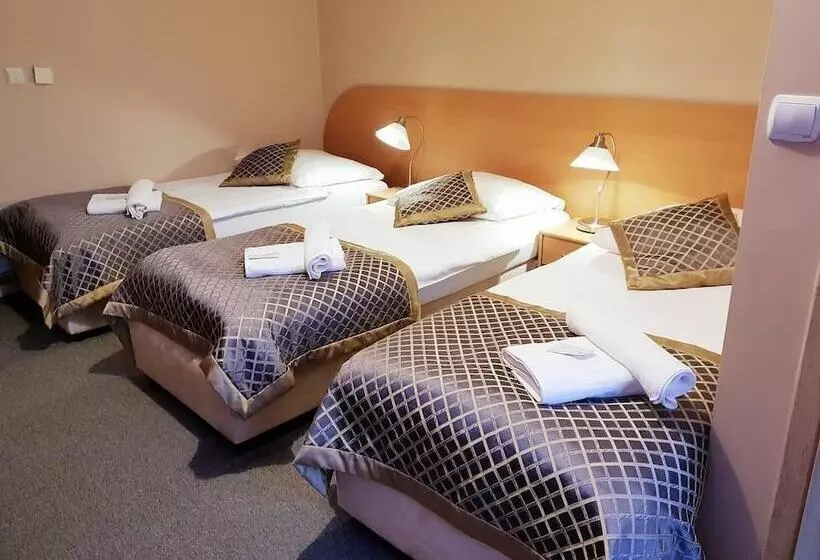 ホテル Willa Kłodzko Zacisze   Sauna   Siłownia   Komnata Solna