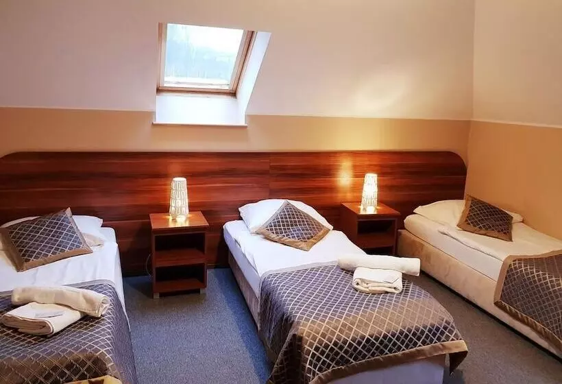 ホテル Willa Kłodzko Zacisze   Sauna   Siłownia   Komnata Solna