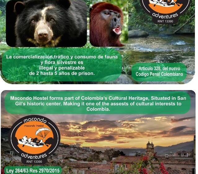 Macondo Hostel
