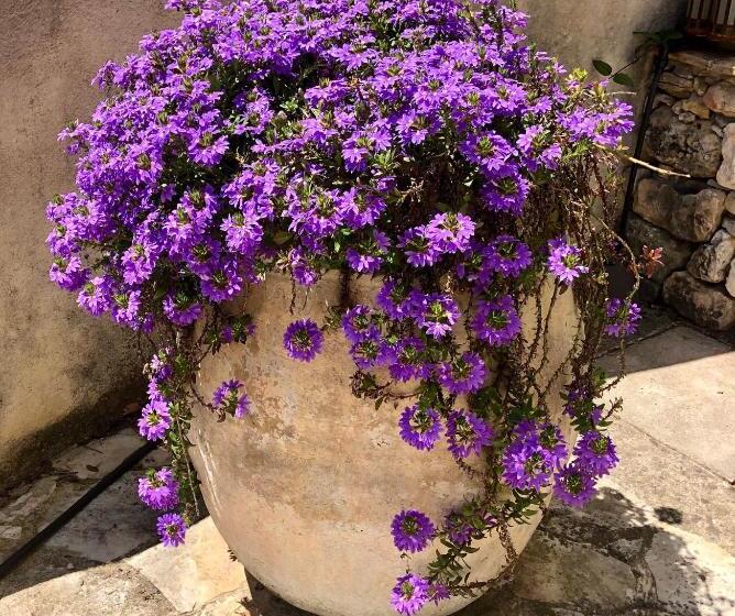 B&b Le Mas Du Galoubet