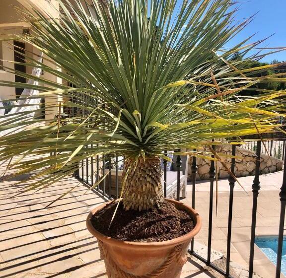 B&b Le Mas Du Galoubet