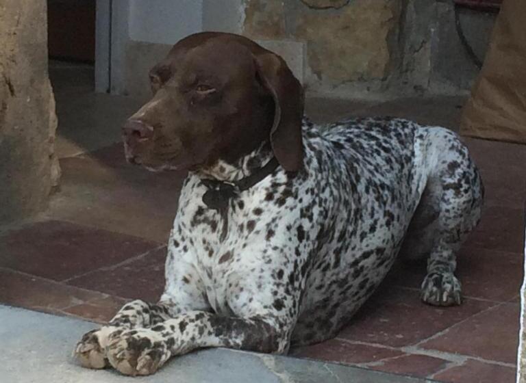 ベッドアンドブレックファースト Chateau Pech Céleyran