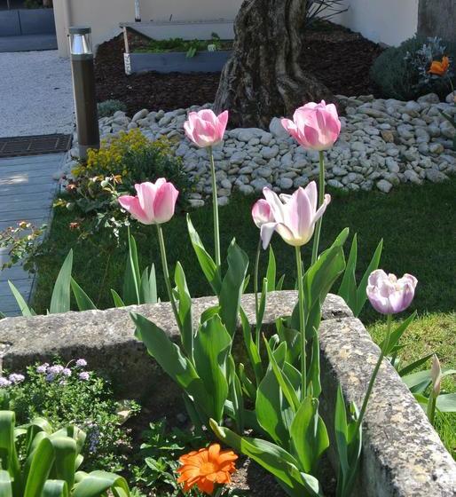 B&b Clos Les Arpents Verts