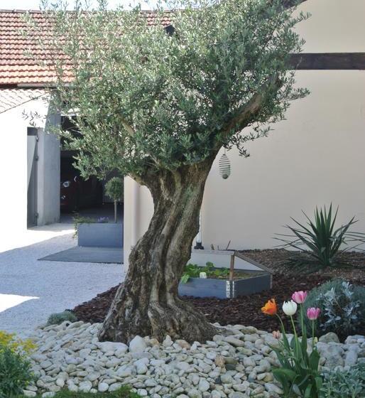 B&b Clos Les Arpents Verts