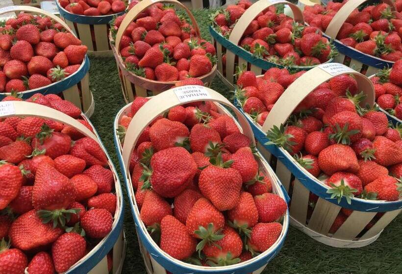 تختخواب و صبحانه Domaine Lafayette