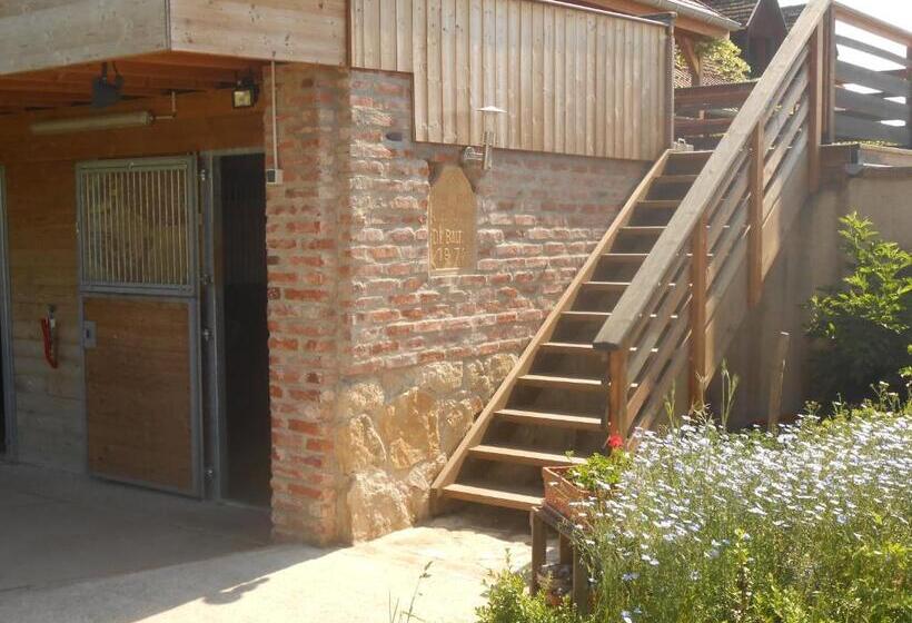 مبيت وإفطار Gîte Du Rotenberg