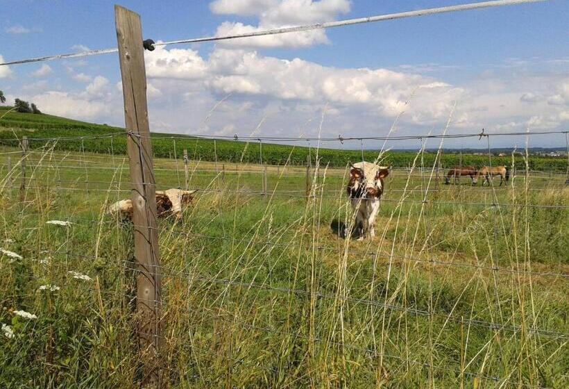 مبيت وإفطار Gîte Du Rotenberg