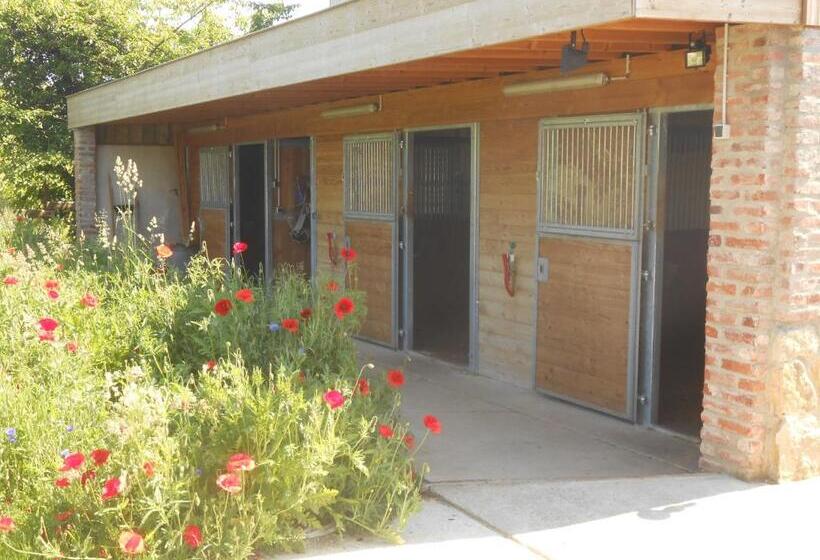 مبيت وإفطار Gîte Du Rotenberg