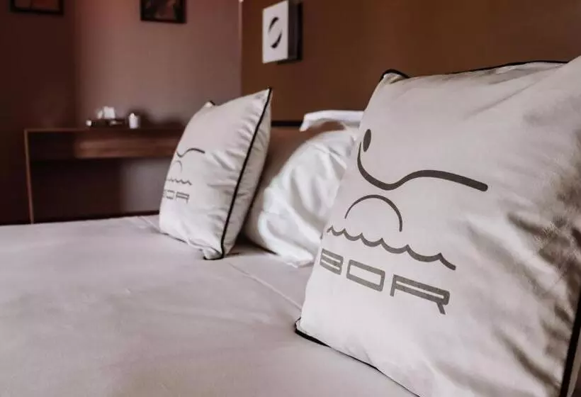 هتل Hôtel Bor