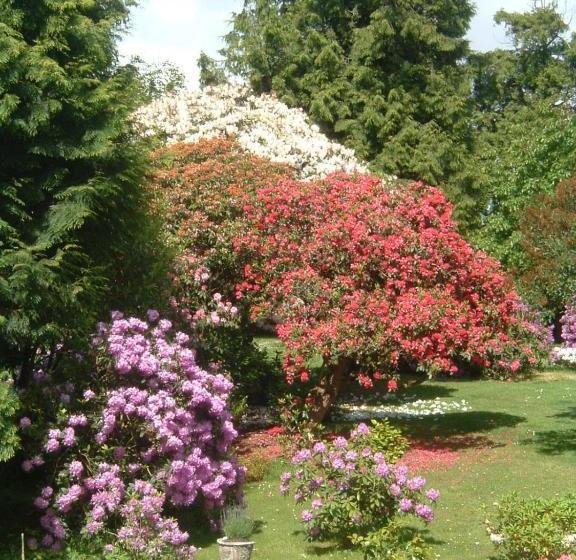 Bed and Breakfast Bruce Castle