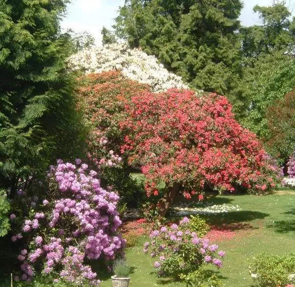 Bed and Breakfast Bruce Castle