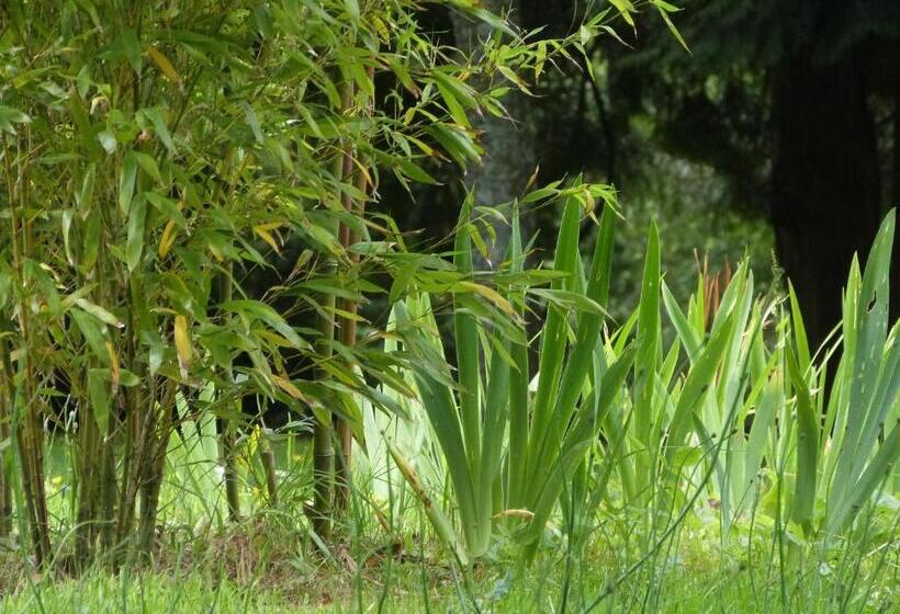 Bed and Breakfast Bruce Castle