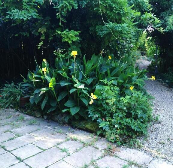 住宿加早餐 Chambre D'hôtes Le Moulin De Moulis