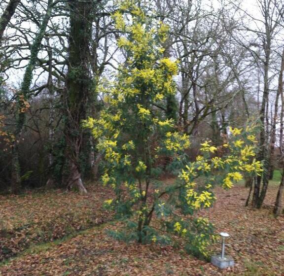 住宿加早餐 Chambre D'hôtes Le Moulin De Moulis