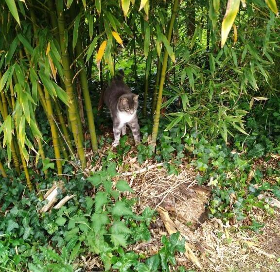 住宿加早餐 Chambre D'hôtes Le Moulin De Moulis