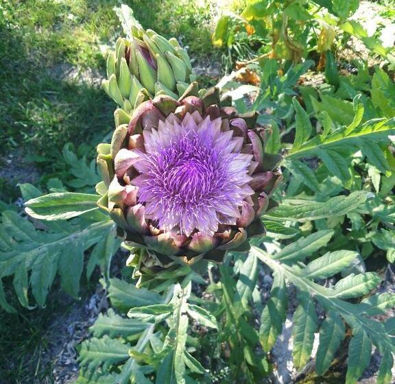 住宿加早餐 Chambre D'hôtes Le Moulin De Moulis