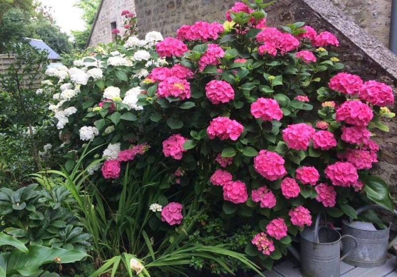 مبيت وإفطار Chambres D'hôtes Côté Campagne