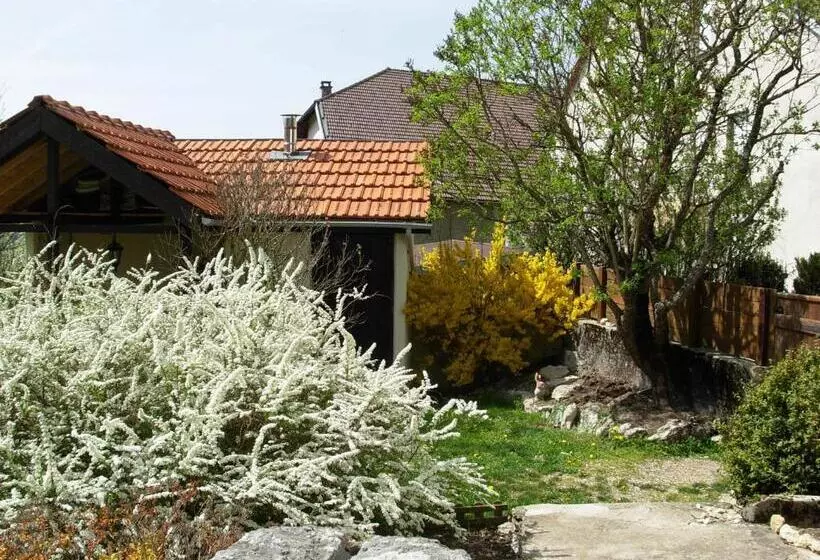 Aamiaismajoitus (B&B) Chambres D Hotes Les Chiens Verts, Jardin, Terrasse, Parking Privé