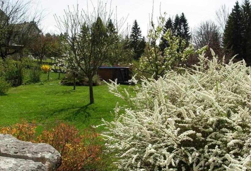 ベッドアンドブレックファースト Chambres D Hotes Les Chiens Verts, Jardin, Terrasse, Parking Privé