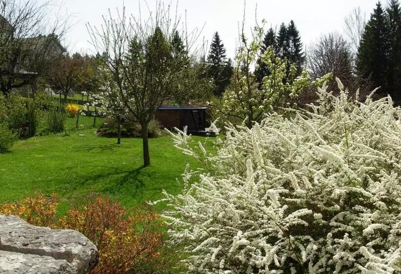 Aamiaismajoitus (B&B) Chambres D Hotes Les Chiens Verts, Jardin, Terrasse, Parking Privé