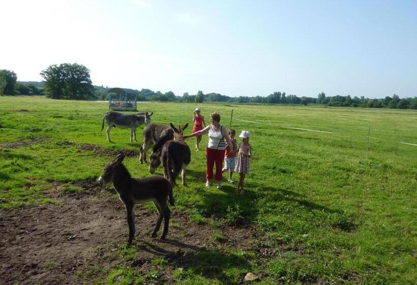 مبيت وإفطار Chambres D'hôtes De La Junchère