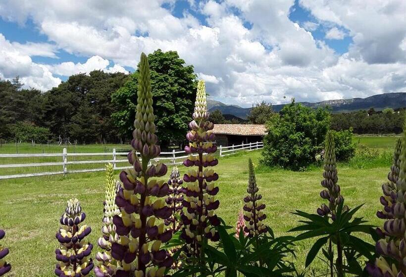 مبيت وإفطار La Bastide Des Pins