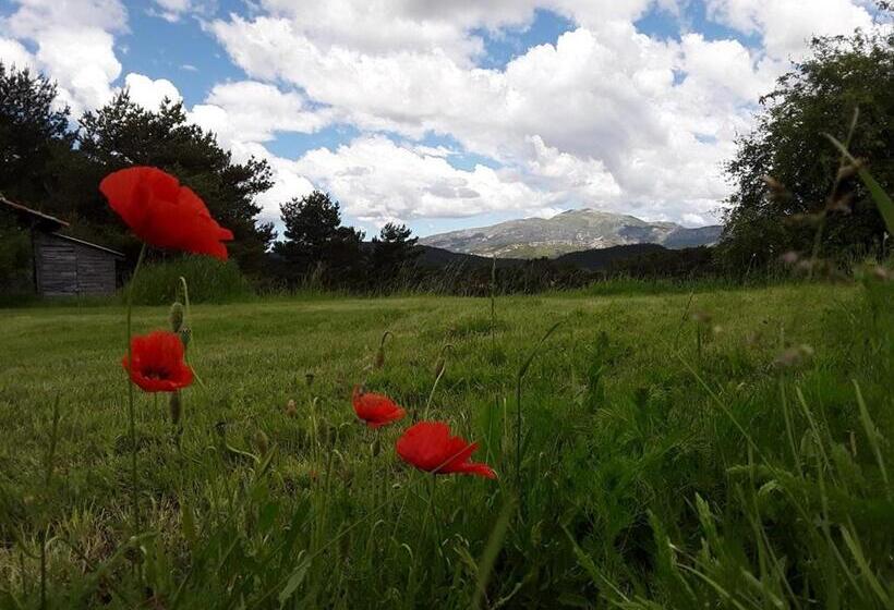 مبيت وإفطار La Bastide Des Pins