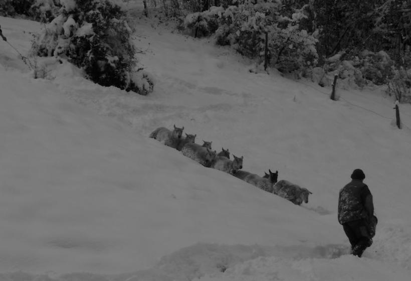 צימר La Chouette à L'heure Du Pinson