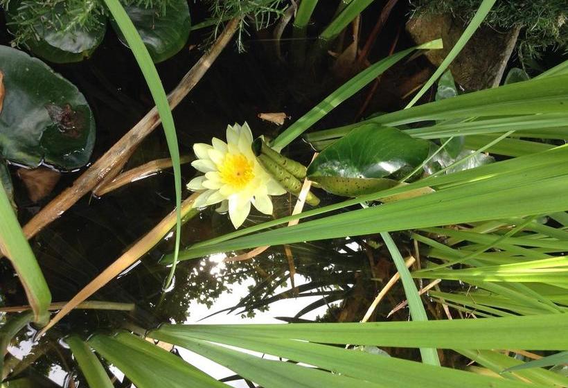 Bed and Breakfast La Demeure