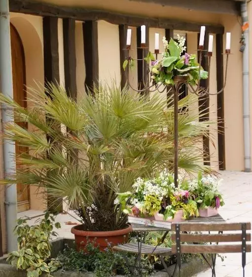 تختخواب و صبحانه La Villa Antalya