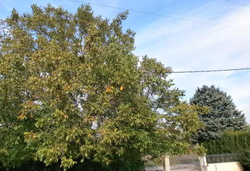 Bed and Breakfast Les Tourterelles