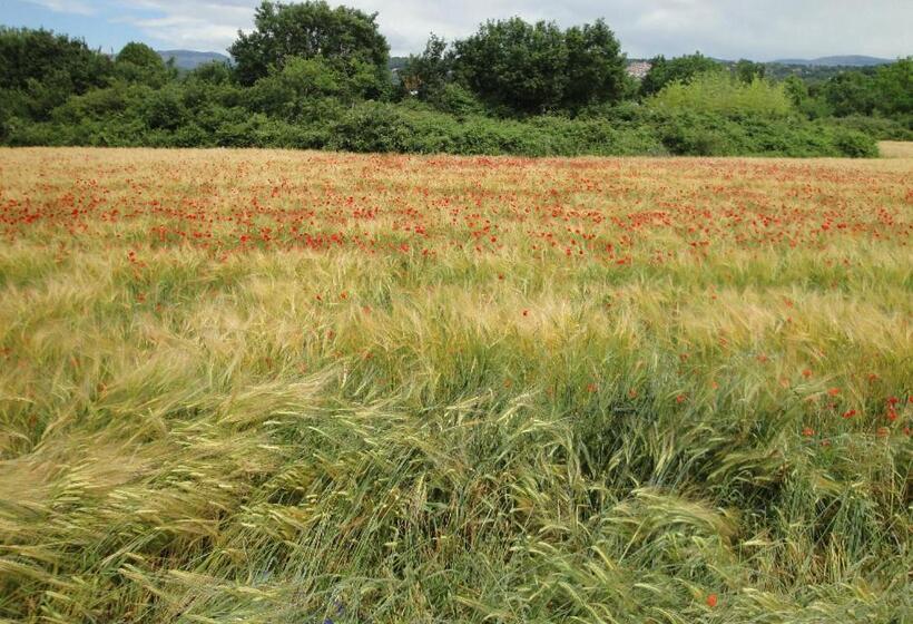 Bed and Breakfast Les Tourterelles