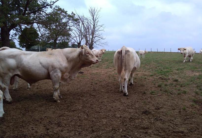 민박 Manoir De Malfarat