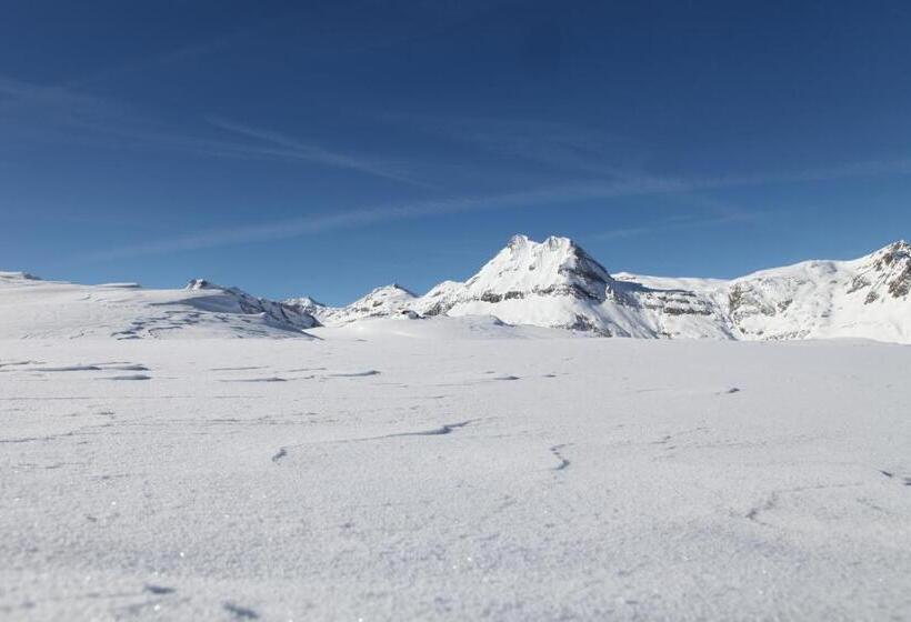 酒店 Hôtel Du Glacier Des Evettes