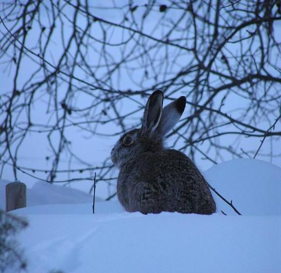 酒店 Hôtel Du Glacier Des Evettes