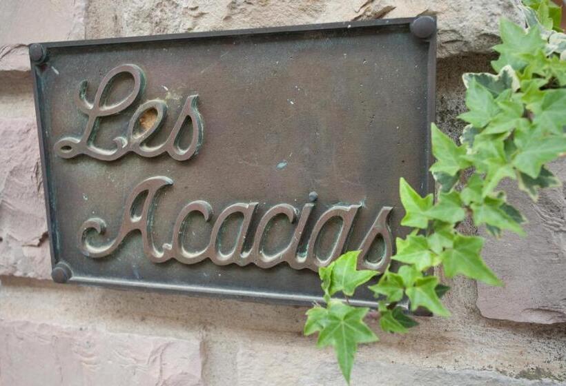 호텔 Les Acacias