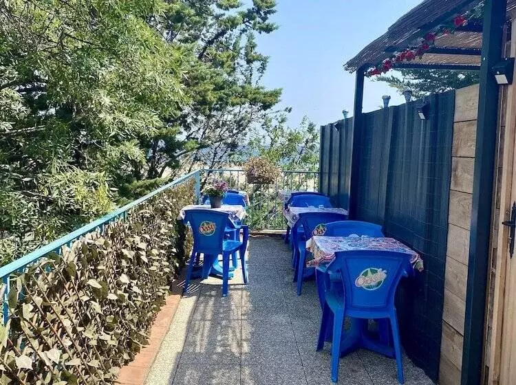 هتل Oasis