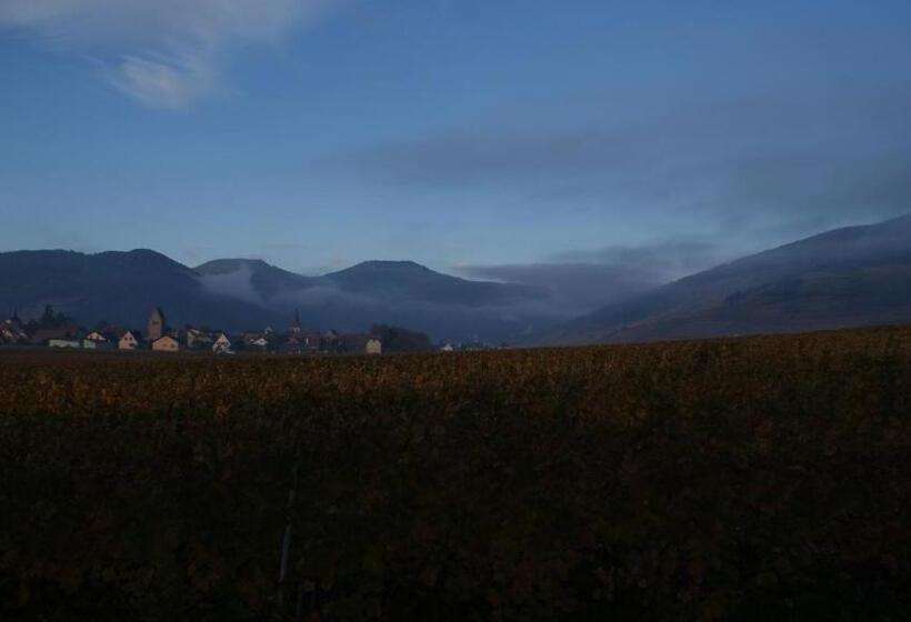 ベッドアンドブレックファースト Chambre D'hotes Le Vogelgarten