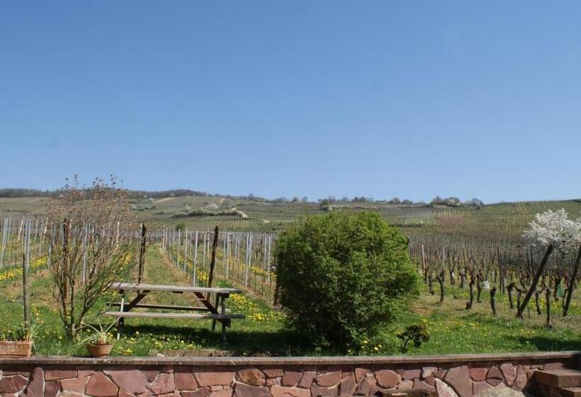 ベッドアンドブレックファースト Chambre D'hotes Le Vogelgarten