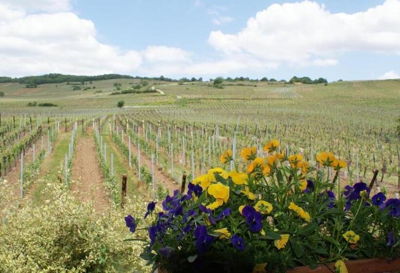 ベッドアンドブレックファースト Chambre D'hotes Le Vogelgarten