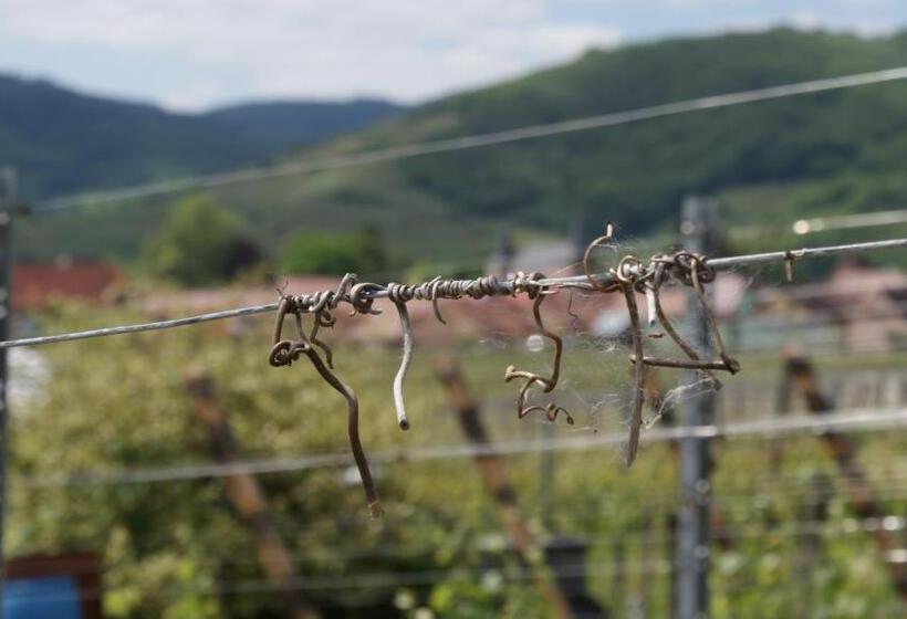 ベッドアンドブレックファースト Chambre D'hotes Le Vogelgarten