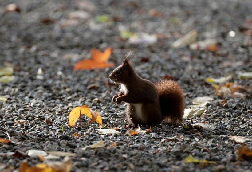 צימר Chambres D Hôtes La Maison Blanche