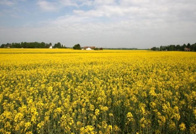 Bed and Breakfast Chambres D'hôtes Notre Paradis
