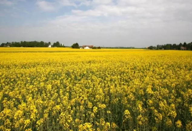 تختخواب و صبحانه Chambres D'hôtes Notre Paradis