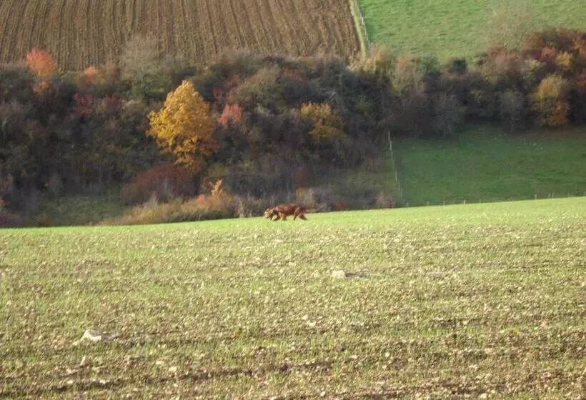 تختخواب و صبحانه Chambres D'hôtes Notre Paradis
