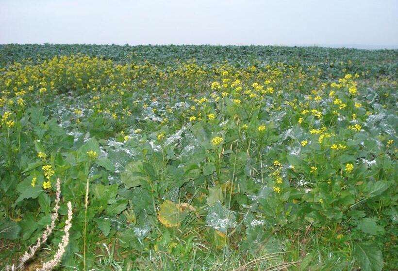 Bed and Breakfast Chambres D'hôtes Notre Paradis