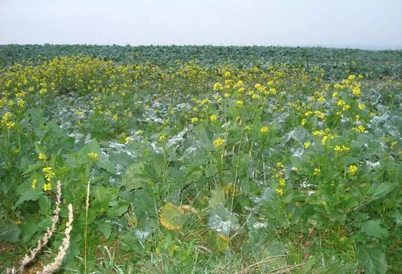تختخواب و صبحانه Chambres D'hôtes Notre Paradis